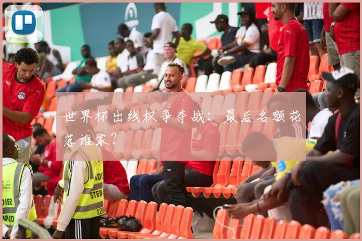 世界杯出线权争夺战:最后名额花落谁家?