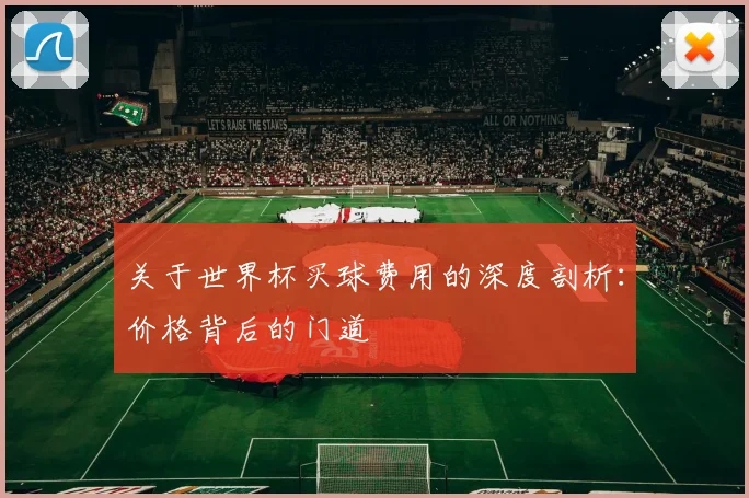 关于世界杯买球费用的深度剖析:价格背后的门道