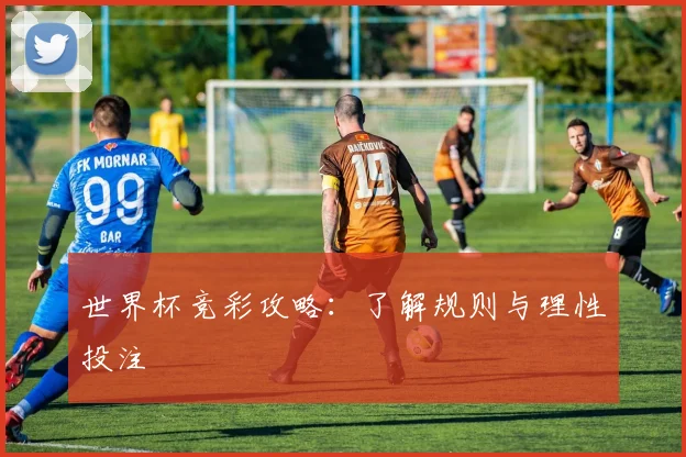 世界杯竞彩攻略：了解规则与理性投注