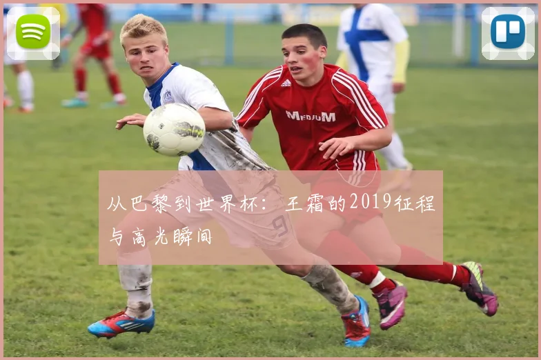 从巴黎到世界杯：王霜的2019征程与高光瞬间