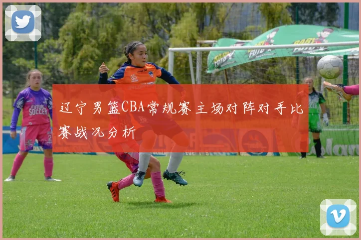 辽宁男篮CBA常规赛主场对阵对手比赛战况分析