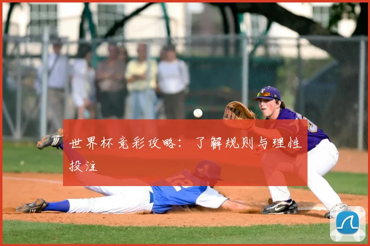 世界杯竞彩攻略:了解规则与理性投注