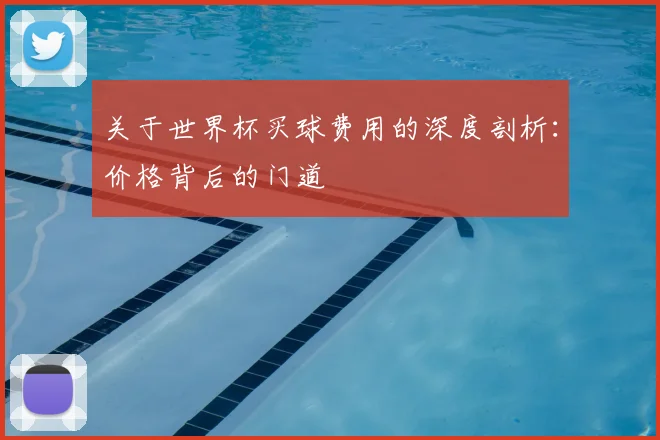 关于世界杯买球费用的深度剖析：价格背后的门道