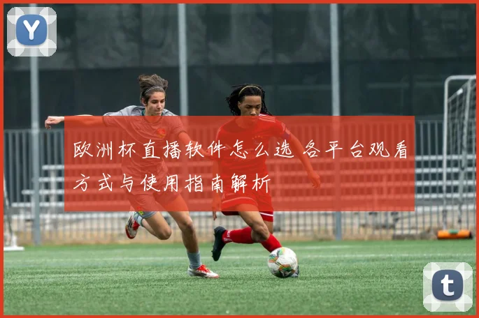 欧洲杯直播软件怎么选 各平台观看方式与使用指南解析